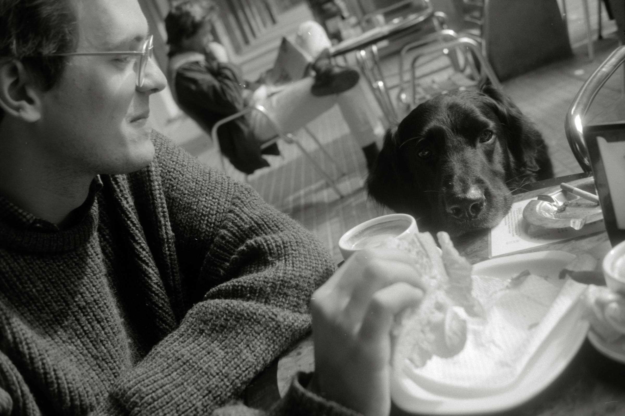 AHP F1996 03 001 sc240818 img07 NLP